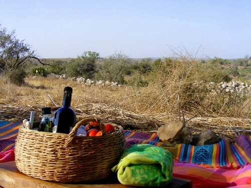 תמונה שצולמה בחוות בית ניר - 2 תמונה של חוות בית ניר - 2