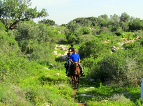 תמונה של אודות חוות בית ניר תמונה של אודות חוות בית ניר