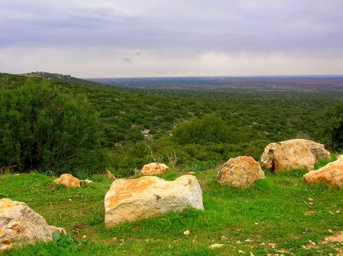 תמונה של אודות חוות בית ניר
