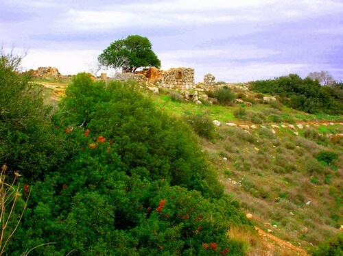 תמונה של אודות חוות בית ניר
