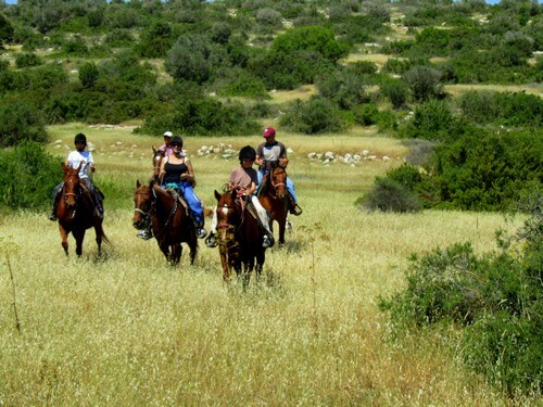 תמונה שצולמה בחוות בית ניר - 5 תמונה של חוות בית ניר - 5