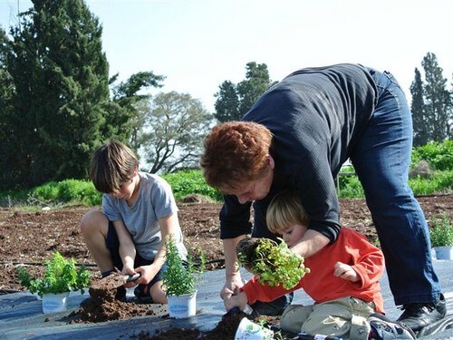 תמונה של לוח מופעים מלא