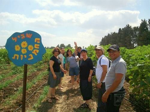 תמונה של לוח מופעים מלא