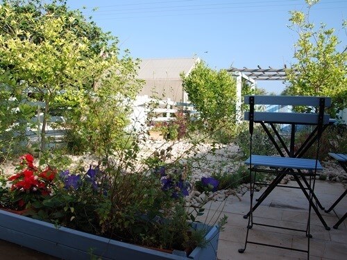 תמונה שצולמה בכוכב הים במכמורת - 1 תמונה של כוכב הים במכמורת - 1