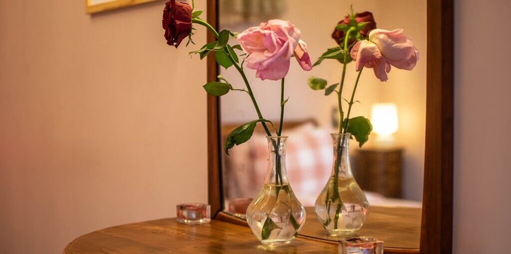 תמונה של הצימרים - 6