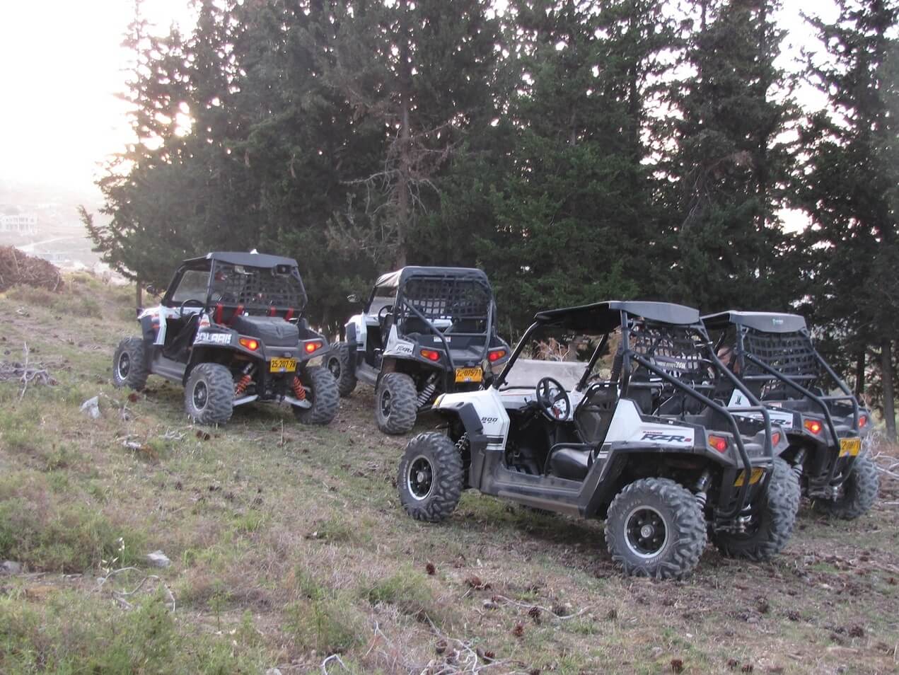 תמונה של רייזרים RZR וטומקאר