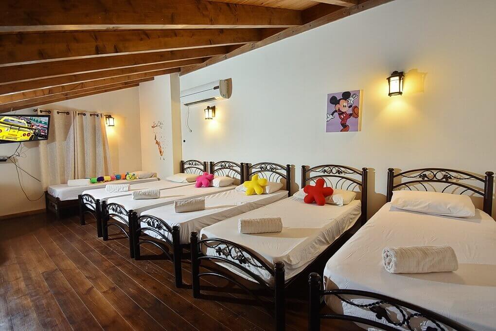 תמונה של כלנית - 4