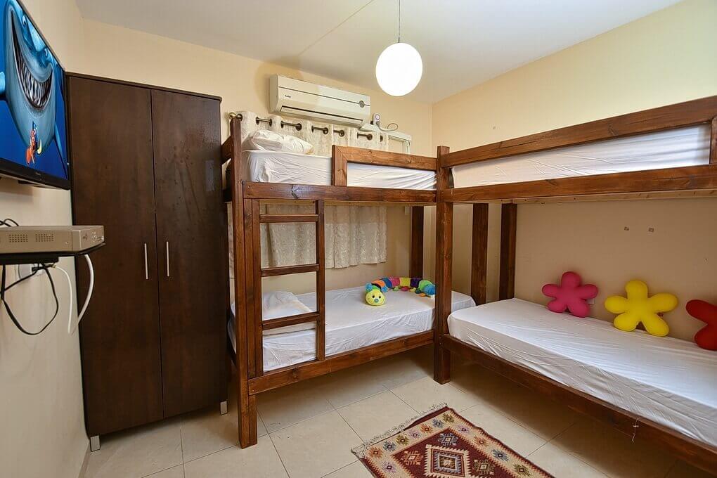 תמונה של רקפת - 5