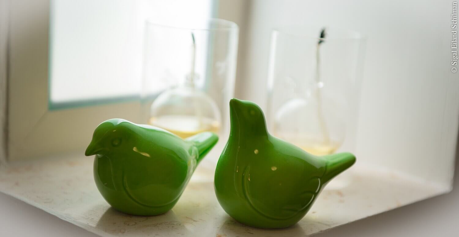 תמונה של סוויטת הגן - 5