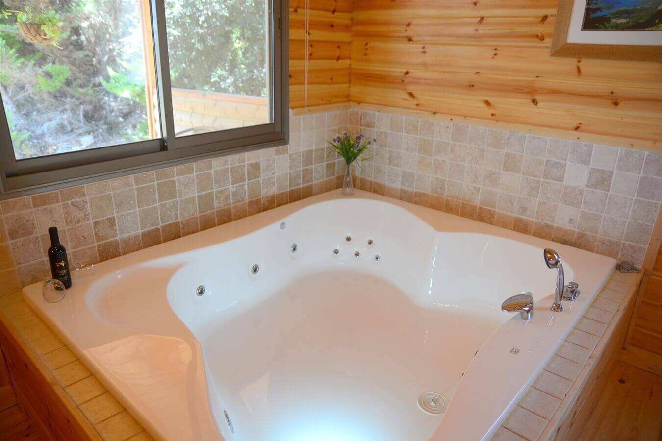 תמונה של בקתת תמר - 5