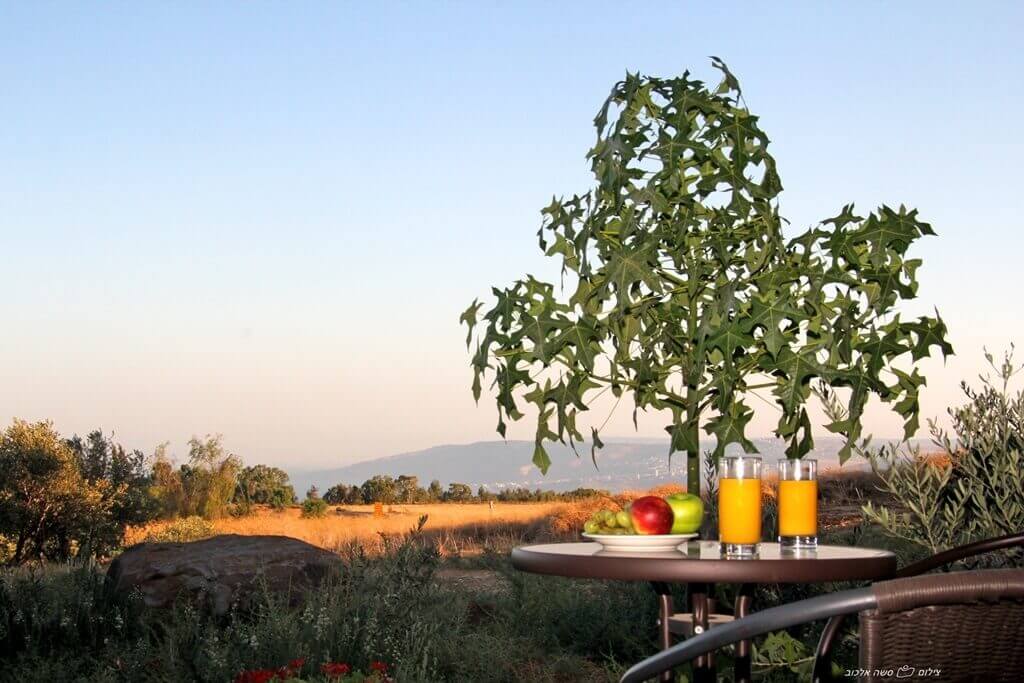 תמונה של יחידת גולן - 5