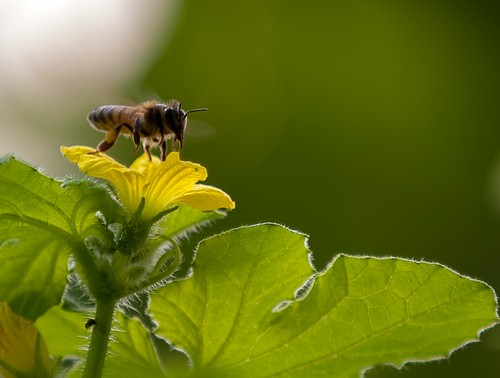 תמונה של סיור במרכז המבקרים