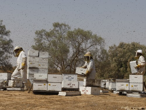 תמונה של סיור במרכז המבקרים