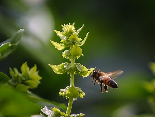 תמונה של סיור במרכז המבקרים