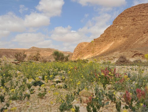 תמונה של סיור במרכז המבקרים