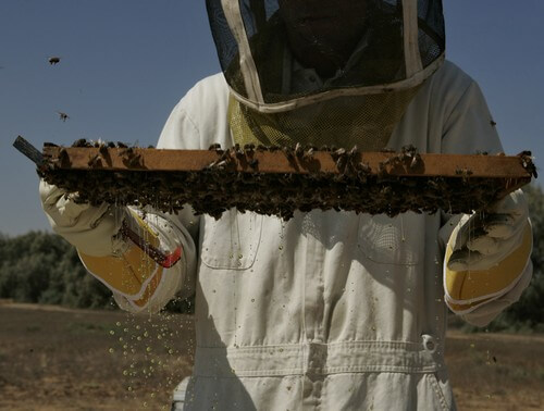 תמונה של סיור במרכז המבקרים
