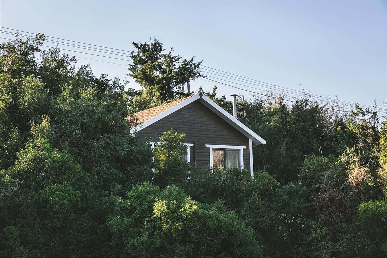 תמונה שצולמה בלגור בחורש - 1 תמונה של לגור בחורש - 1