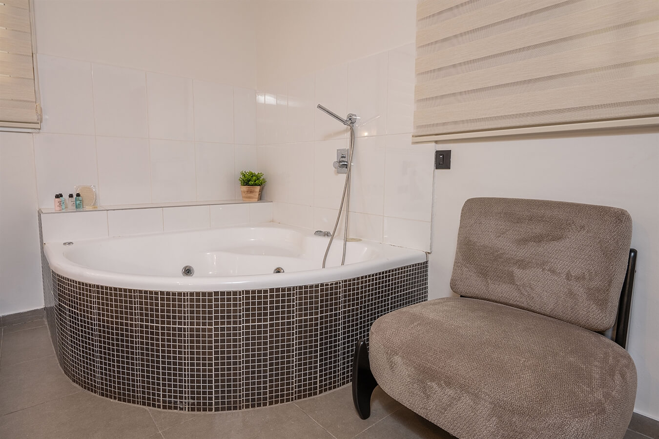 תמונה של סוויטת לביא - 3