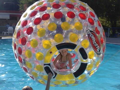 תמונה של יער הילדים