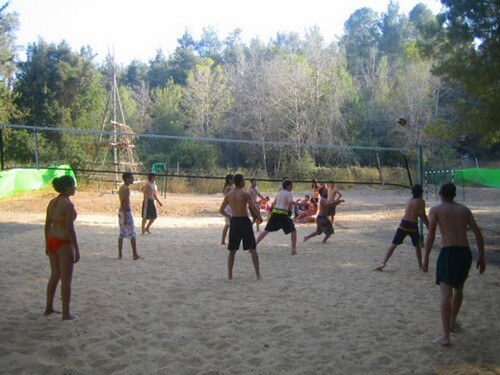 תמונה של יער הילדים