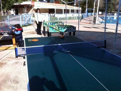 תמונה של יער הילדים