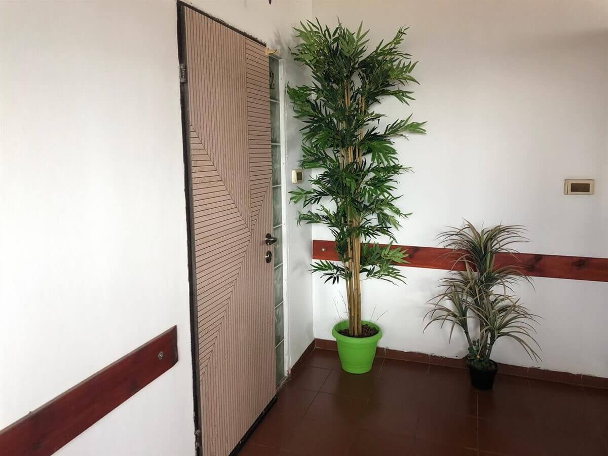 תמונה של סוויטה 2 - 6 תמונה של סוויטה 2 - 6