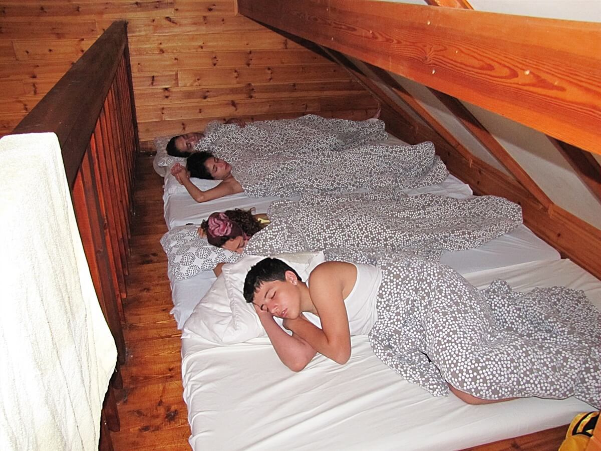 תמונה של בית העץ המשפחתי - 2