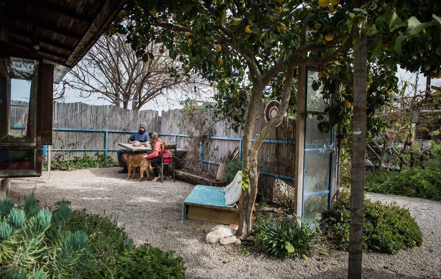 תמונה של הצימרים - 11