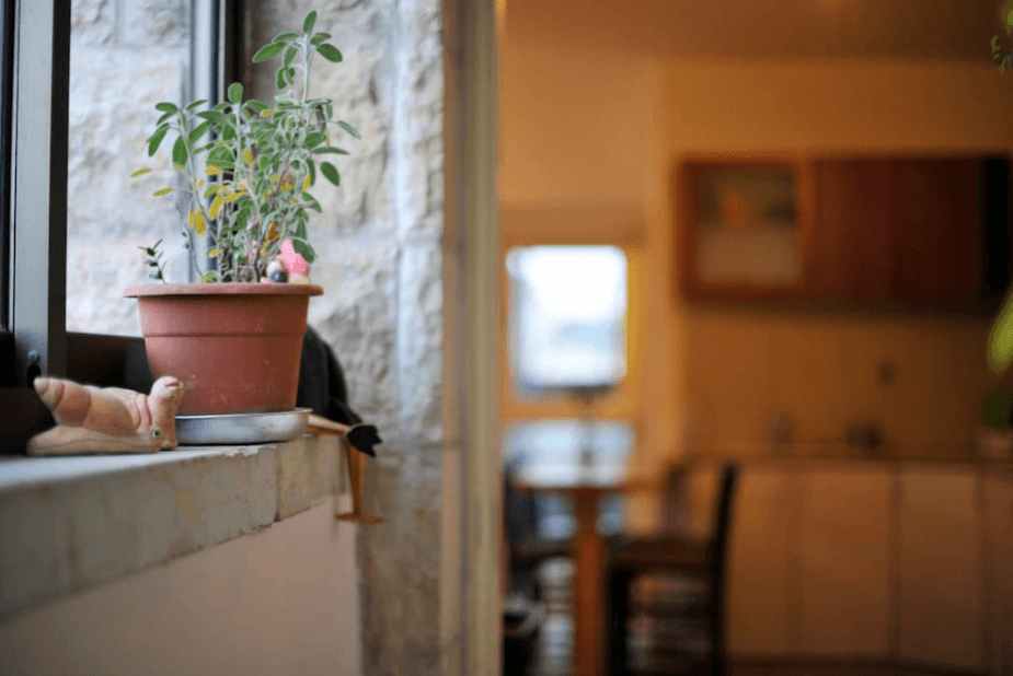 תמונה של דירת גג - 5 תמונה של דירת גג - 5