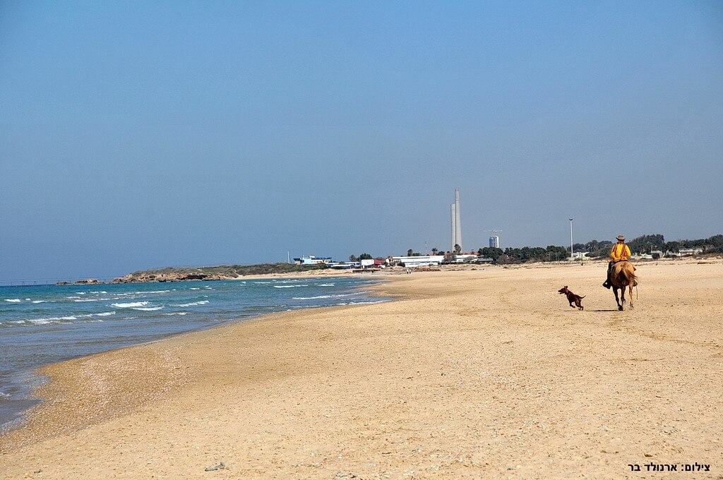 תמונה של סוויטה מספר 2 - 3 תמונה של סוויטה מספר 2 - 3