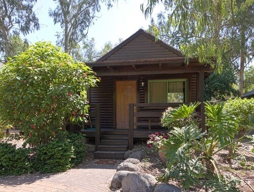 תמונה שצולמה באוליב על המים - 1 תמונה של אוליב על המים - 1