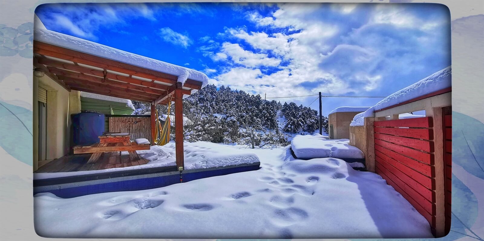 תמונה של יחידת הזן - 9