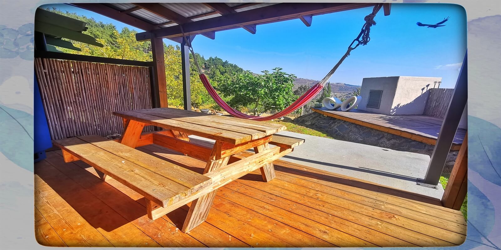 תמונה של יחידת הזן - 8