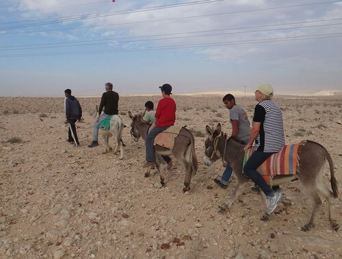 תמונה של טיולי ג'יפים תמונה של טיולי ג'יפים