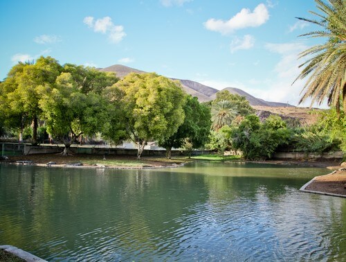 תמונה של פארק הדייג תמונה של פארק הדייג