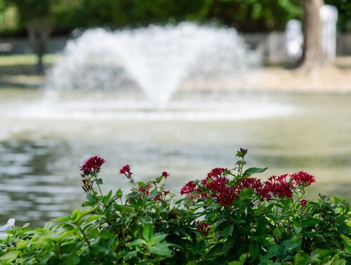 תמונה שצולמה בעולם המים - חמת גדר - 3 תמונה של עולם המים - חמת גדר - 3