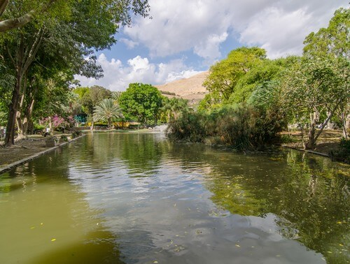 תמונה של פארק הדייג תמונה של פארק הדייג