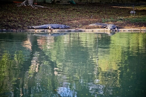 תמונה שצולמה בחוויות חמת גדר - 5 תמונה של חוויות חמת גדר - 5