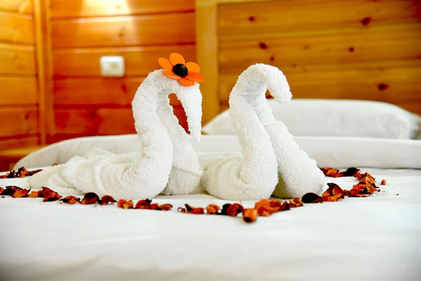 תמונה של צימר D - 5