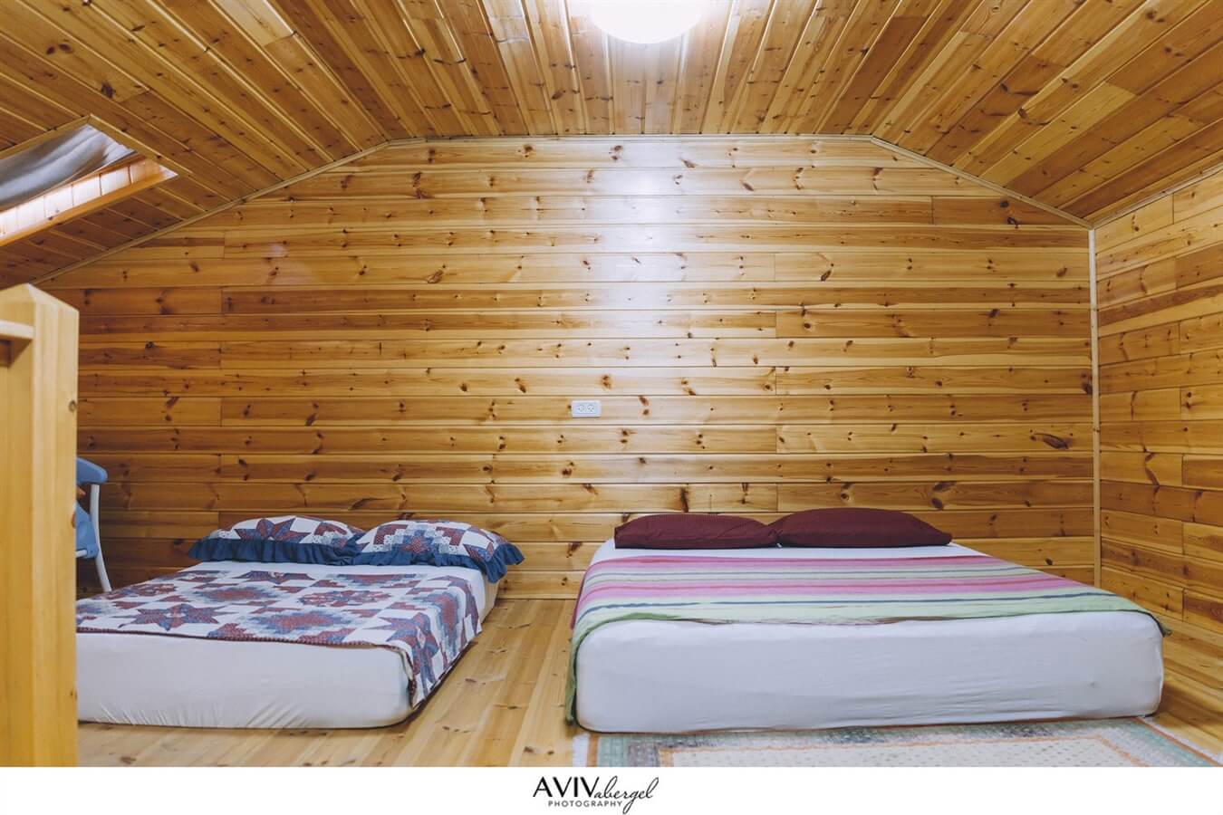 תמונה של סוויטת אלה - 6