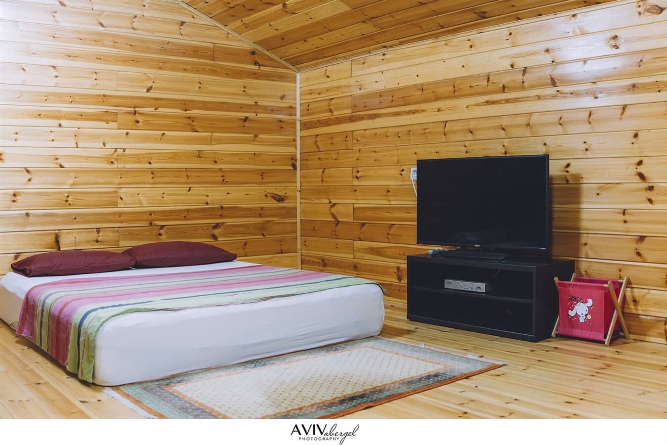 תמונה של סוויטת אלה - 4