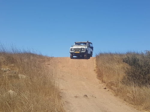 תמונה של ספארי לילה