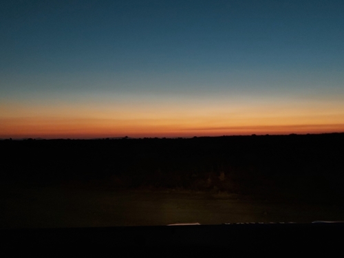 תמונה של ספארי לילה