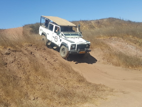 תמונה של ספארי לילה