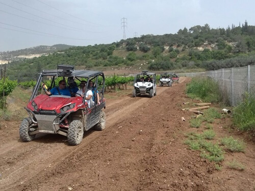 תמונה של טרקטורונים וריינג'רים