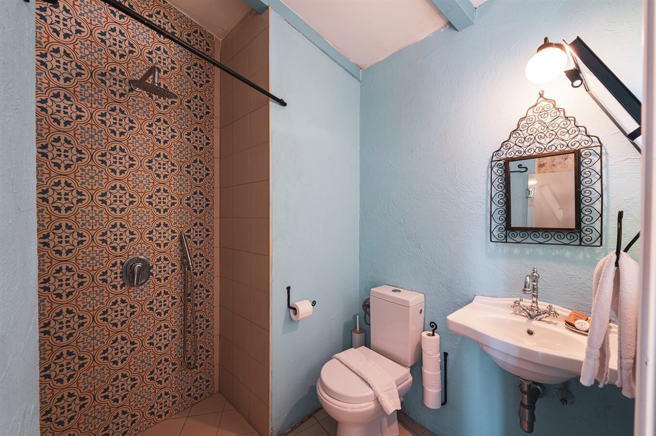 תמונה של רובין - 7