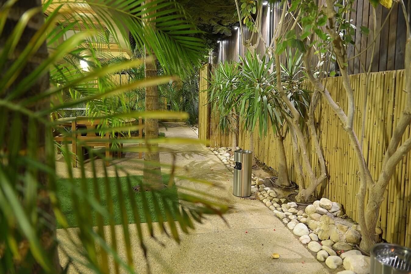 תמונה של סוויטת ואן מוריסון - 7 תמונה של סוויטת ואן מוריסון - 7