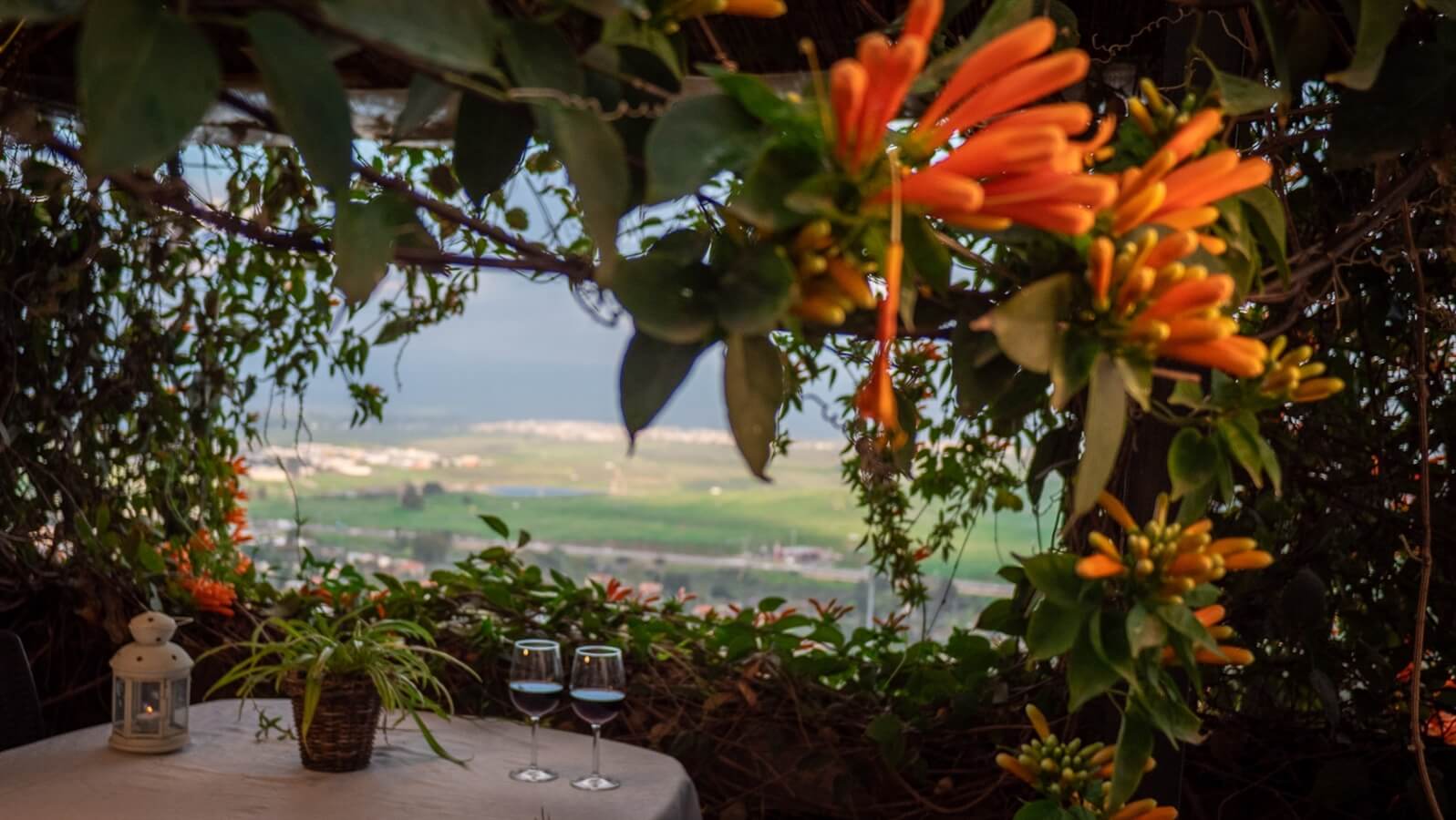 תמונה של הסוויטה הלבנה - 2