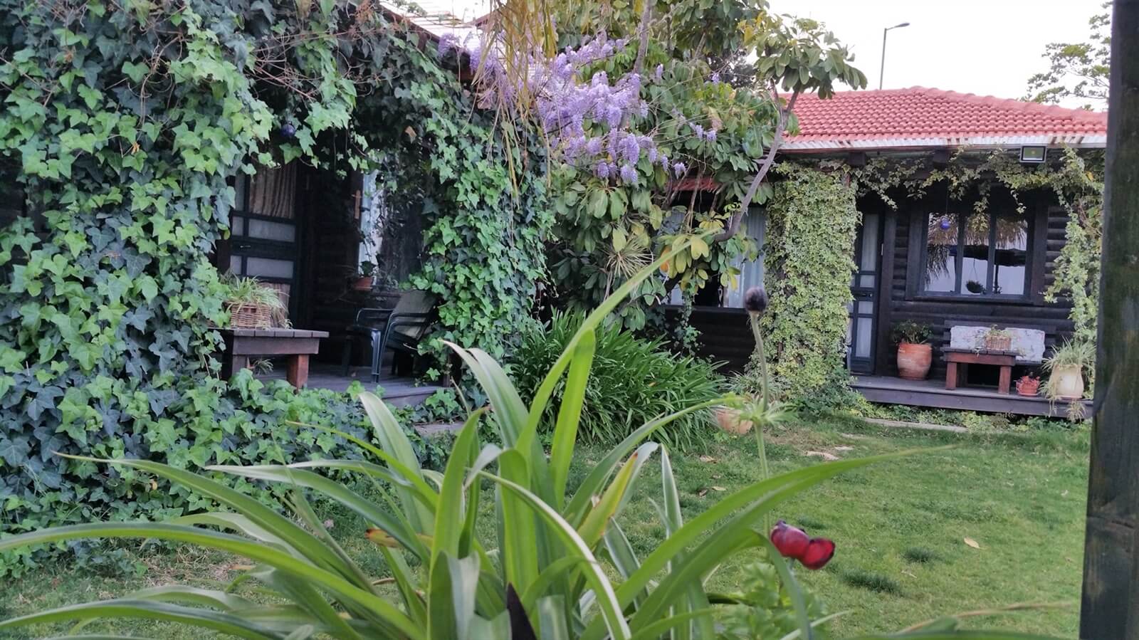 תמונה של הבקתות - 9