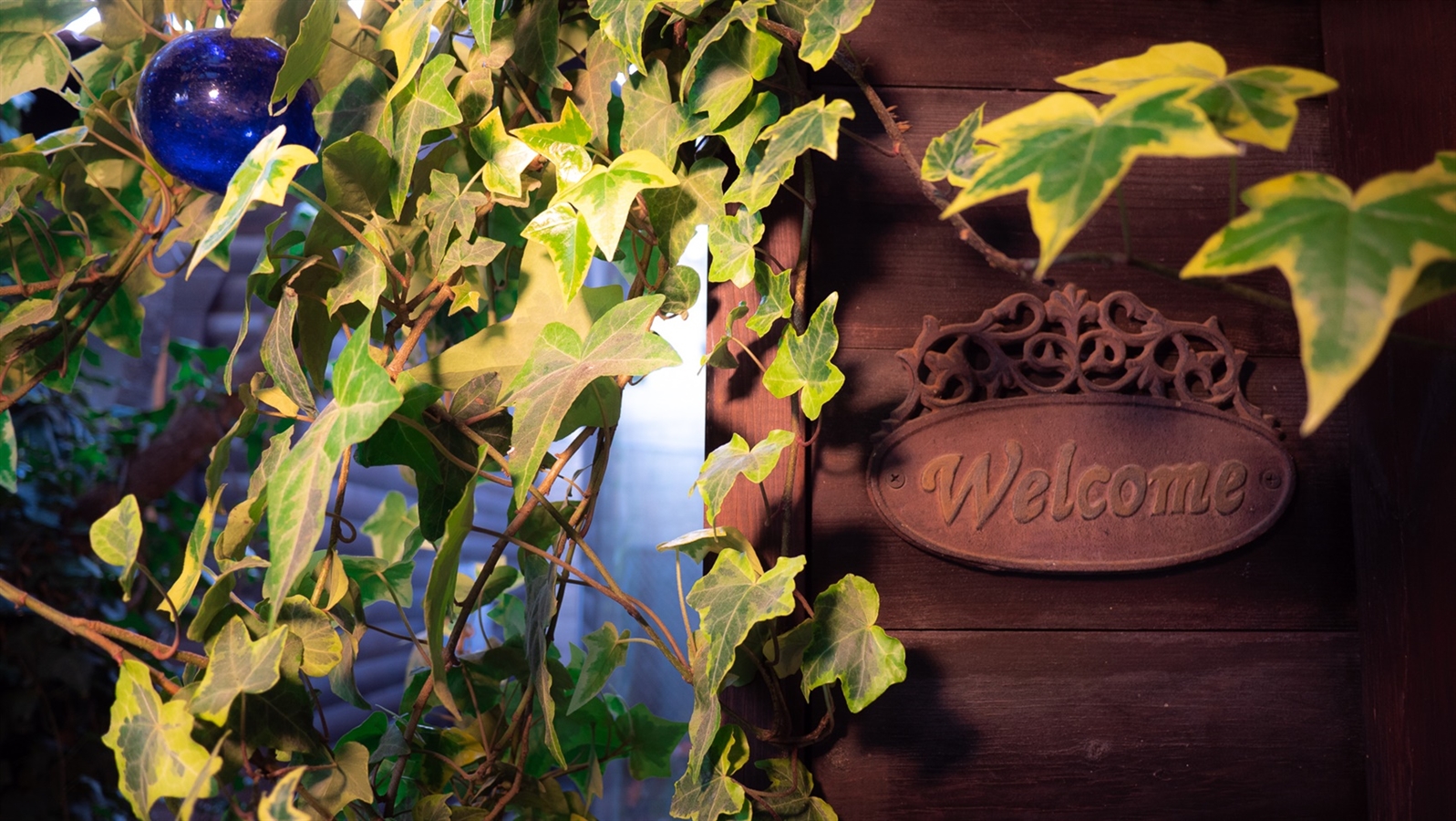 תמונה של הבקתות - 6